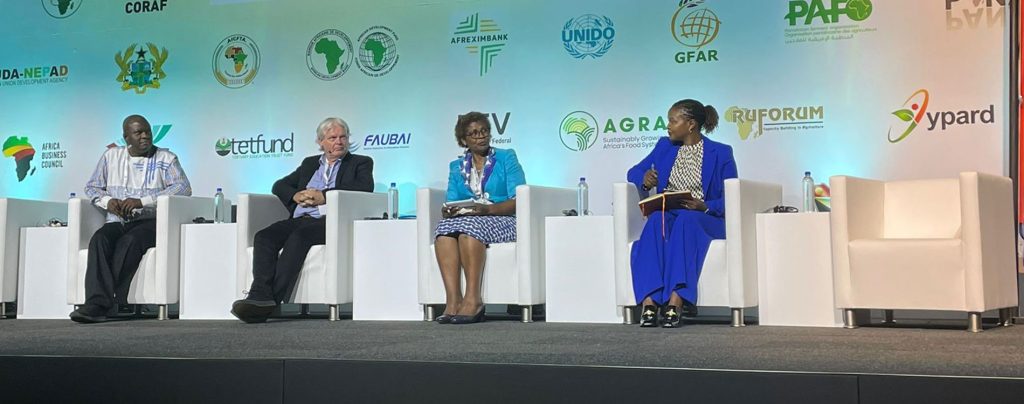 Cross section of panelists during the EiA side event.