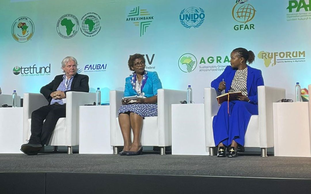 Cross section of panelists during the EiA side event.